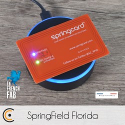 NFC Card - Springcard SpringField Florida - NFC.CARDS